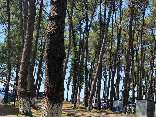 Кемпинги Camping Area Ureki Уреки-19
